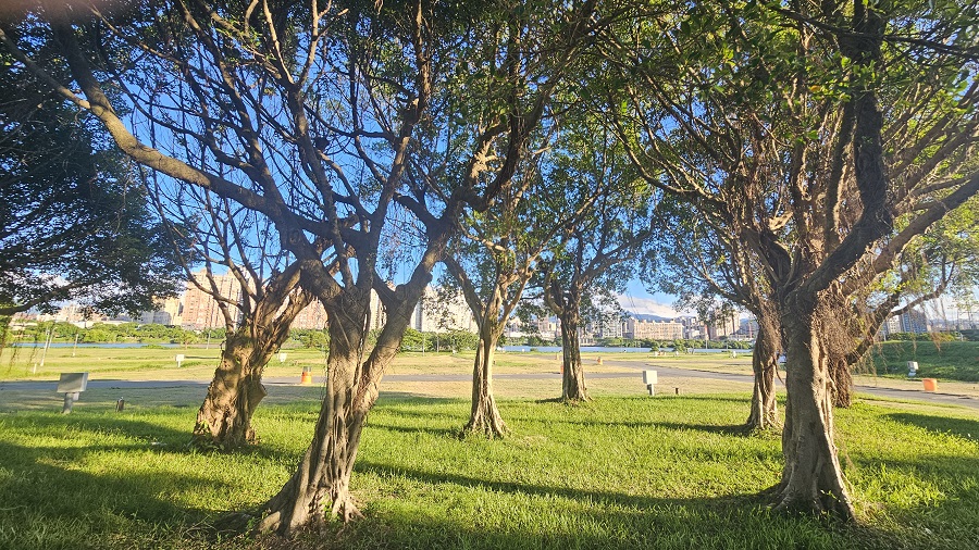 春節連假(1/25~2/2)照常營業